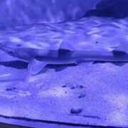 ヒメ日記 2025/02/06 12:30 投稿 おとは 新宿11チャンネル