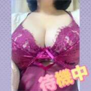 ヒメ日記 2025/11/14 16:20 投稿 まこ 乳野家