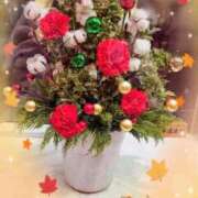 ヒメ日記 2025/12/25 12:50 投稿 けいと 小山人妻隊