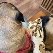 ヒメ日記 2024/12/30 18:31 投稿 ナツキ ラブコレクション