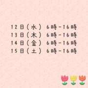 ヒメ日記 2025/02/11 20:01 投稿 ナツキ ラブコレクション