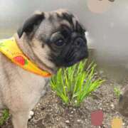 ヒメ日記 2025/03/04 20:46 投稿 ナツキ ラブコレクション