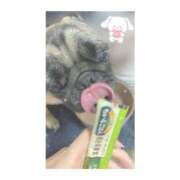 ヒメ日記 2025/03/25 12:01 投稿 ナツキ ラブコレクション