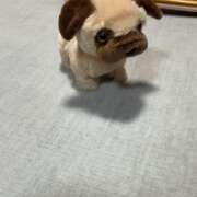 ヒメ日記 2025/03/26 08:16 投稿 ナツキ ラブコレクション