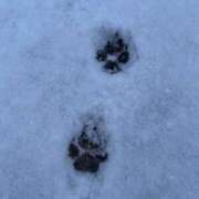 ヒメ日記 2025/12/07 22:01 投稿 ナツキ ラブコレクション