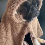 ヒメ日記 2025/12/21 05:46 投稿 ナツキ ラブコレクション