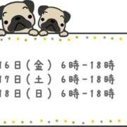 ヒメ日記 2026/01/15 20:46 投稿 ナツキ ラブコレクション