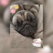 ヒメ日記 2026/01/28 09:01 投稿 ナツキ ラブコレクション