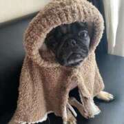 ヒメ日記 2026/01/29 06:01 投稿 ナツキ ラブコレクション