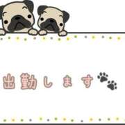 ヒメ日記 2026/03/04 05:31 投稿 ナツキ ラブコレクション