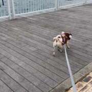 ヒメ日記 2026/03/06 21:31 投稿 ナツキ ラブコレクション