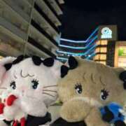 ヒメ日記 2025/07/27 10:44 投稿 りぜ 奥様さくら難波店