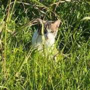 ヒメ日記 2025/02/28 10:29 投稿 みゆ 松戸人妻城