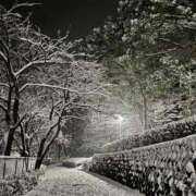 ヒメ日記 2025/04/03 11:57 投稿 みゆ 松戸人妻城