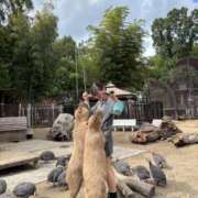 みか 連勤の空き枠 コスパラ