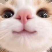 ヒメ日記 2025/11/30 17:30 投稿 かんな Selection(セレクション)(沖縄)