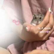 ヒメ日記 2025/08/14 14:27 投稿 りぜ clubさくら難波店