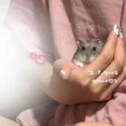 ヒメ日記 2025/09/26 15:27 投稿 りぜ clubさくら難波店