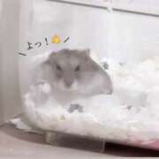 ヒメ日記 2025/10/11 16:07 投稿 りぜ clubさくら難波店