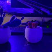 ヒメ日記 2026/01/11 16:39 投稿 海野まりん ニューハーフヘルスSURPRISE ONE十三店