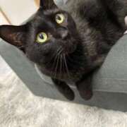 ヒメ日記 2025/06/24 20:49 投稿 のん【期待度MAXの美女】 Aris（アリス）☆超恋人空間☆沖縄最大級！！