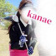 ヒメ日記 2025/04/13 10:15 投稿 かなえ あとりえ(ATELIER)