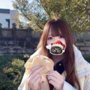 ヒメ日記 2024/12/24 21:14 投稿 つらら 深海魚