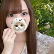 ヒメ日記 2025/04/05 12:24 投稿 つらら 深海魚