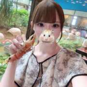 ヒメ日記 2025/04/20 17:00 投稿 つらら 深海魚