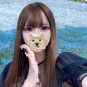 ヒメ日記 2025/05/01 20:59 投稿 つらら 深海魚