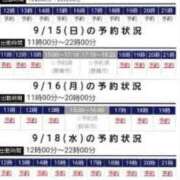 ヒメ日記 2024/09/14 08:49 投稿 りかこ 逢って30秒で即尺