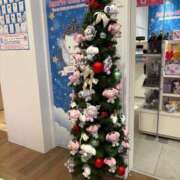 ヒメ日記 2024/12/14 08:54 投稿 足立 西川口デッドボール