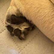 ヒメ日記 2024/12/20 10:43 投稿 足立 西川口デッドボール