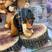 ヒメ日記 2025/03/06 11:58 投稿 足立 西川口デッドボール