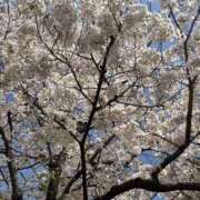 ヒメ日記 2025/04/06 11:34 投稿 足立 西川口デッドボール