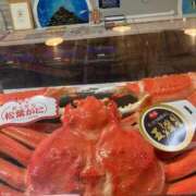 ヒメ日記 2025/05/02 19:22 投稿 足立 西川口デッドボール