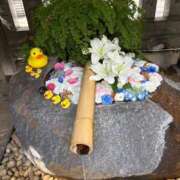 ヒメ日記 2025/06/02 16:18 投稿 足立 西川口デッドボール