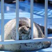 ヒメ日記 2025/06/03 19:18 投稿 足立 西川口デッドボール