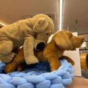 ヒメ日記 2025/06/09 01:28 投稿 足立 西川口デッドボール