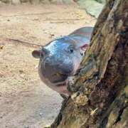 ヒメ日記 2025/09/22 19:18 投稿 足立 西川口デッドボール