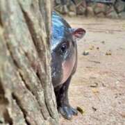 ヒメ日記 2025/11/26 12:58 投稿 足立 西川口デッドボール