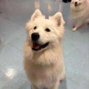 ヒメ日記 2026/03/05 18:28 投稿 足立 西川口デッドボール