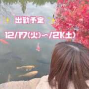 ヒメ日記 2024/12/11 19:31 投稿 まなみ まじらぶ！