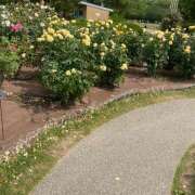 ヒメ日記 2025/07/03 12:29 投稿 あや アート姫