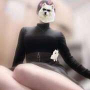 ヒメ日記 2025/01/17 20:20 投稿 いちか My Essentials