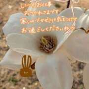 ヒメ日記 2025/03/31 10:01 投稿 ちい 熟女の風俗最終章 高崎店