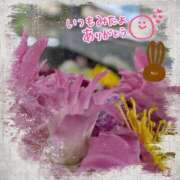 ヒメ日記 2025/04/04 10:00 投稿 ちい 熟女の風俗最終章 高崎店