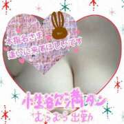 ヒメ日記 2025/04/15 09:49 投稿 ちい 熟女の風俗最終章 高崎店