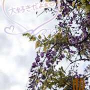 ヒメ日記 2025/04/24 09:53 投稿 ちい 熟女の風俗最終章 高崎店