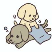 ヒメ日記 2026/10/27 08:55 投稿 あゆ 完熟ばなな川崎